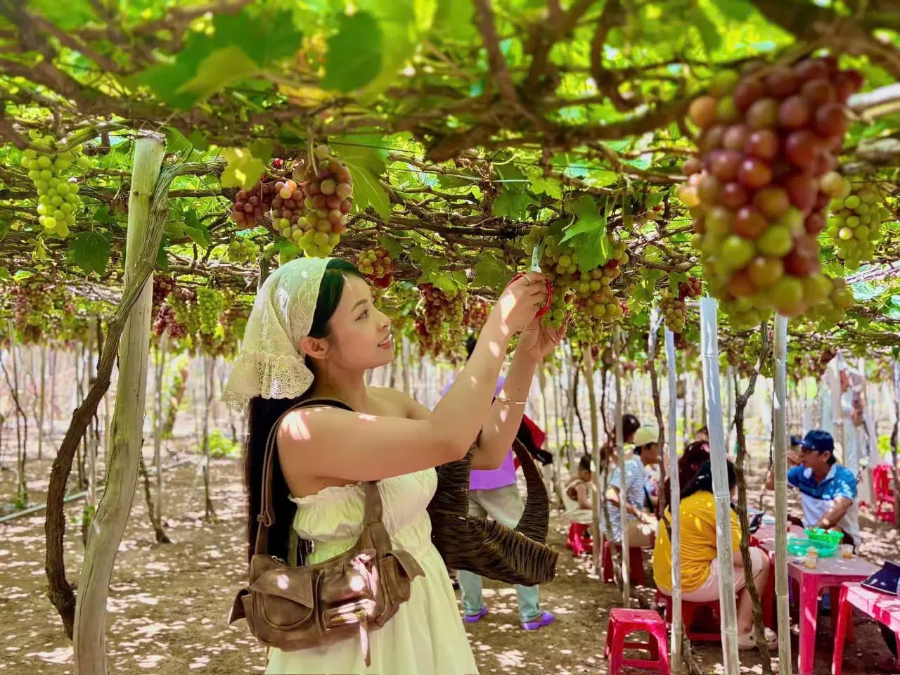 OCOP Khánh Hòa nâng tầm sản phẩm thành đại sứ du lịch