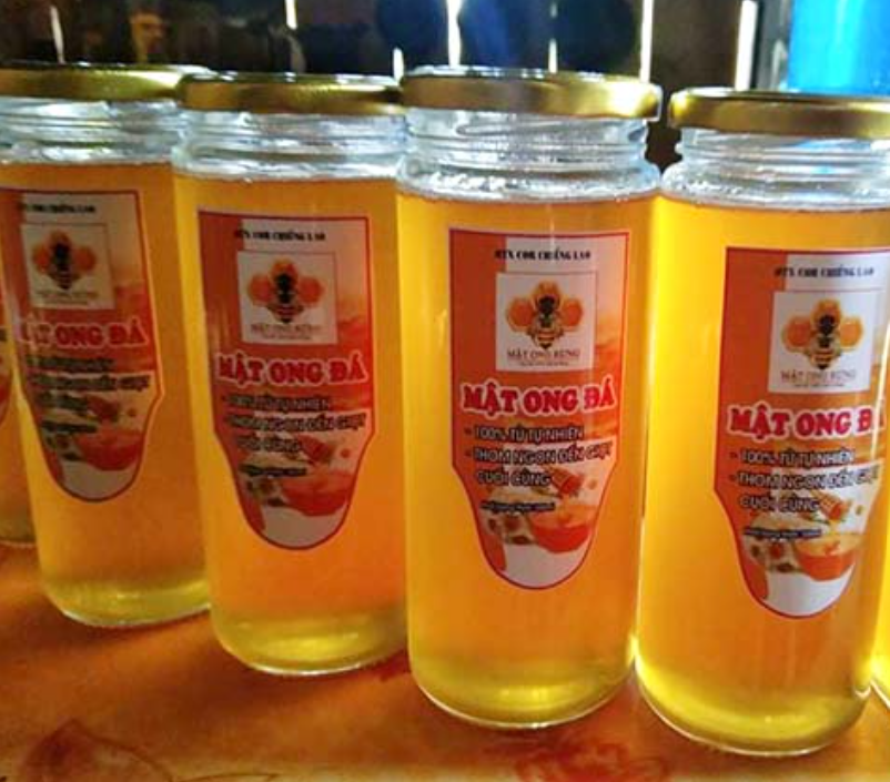 Khai thác lợi thế rừng để phát triển nghề nuôi ong