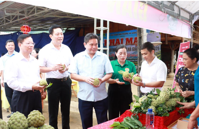 Na Núi đá Hà Giang 2 - Kết tinh vị ngọt từ đá núi Na Núi đá Hà Giang 2 - Kết tinh vị ngọt từ đá núi