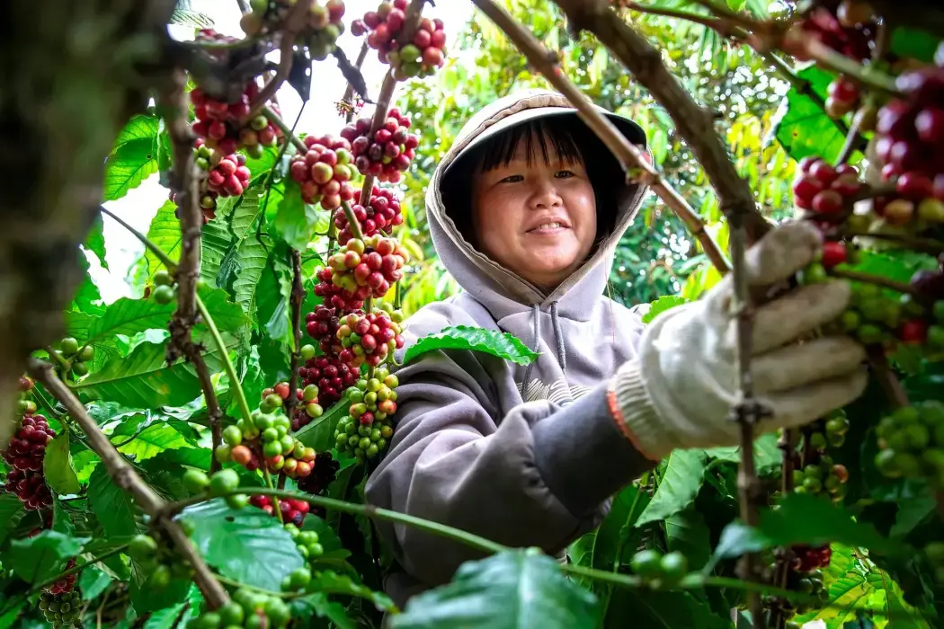 Điểm sáng trong bức tranh thương mại Việt Nam-Ấn Độ Điểm sáng trong bức tranh thương mại Việt Nam-Ấn Độ