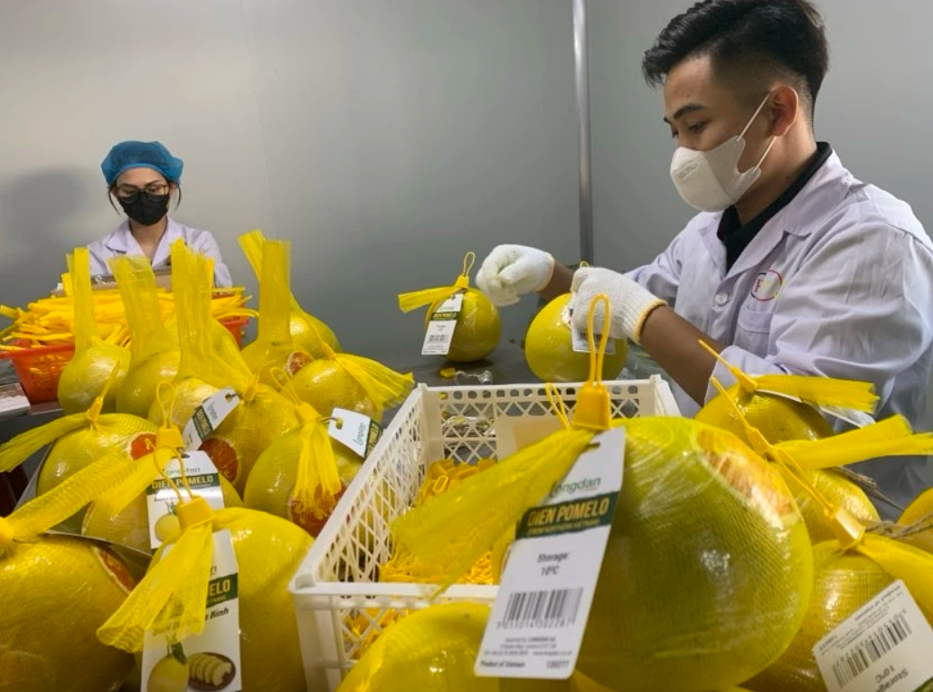 Minh bạch - truy xuất - số hóa: Ba trụ cột mới định hình thị trường nông sản