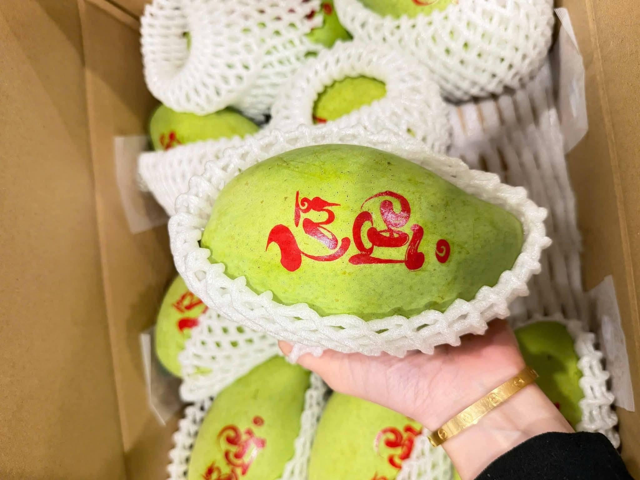 Giá xoài cát Hòa Lộc tăng mạnh dịp Tết