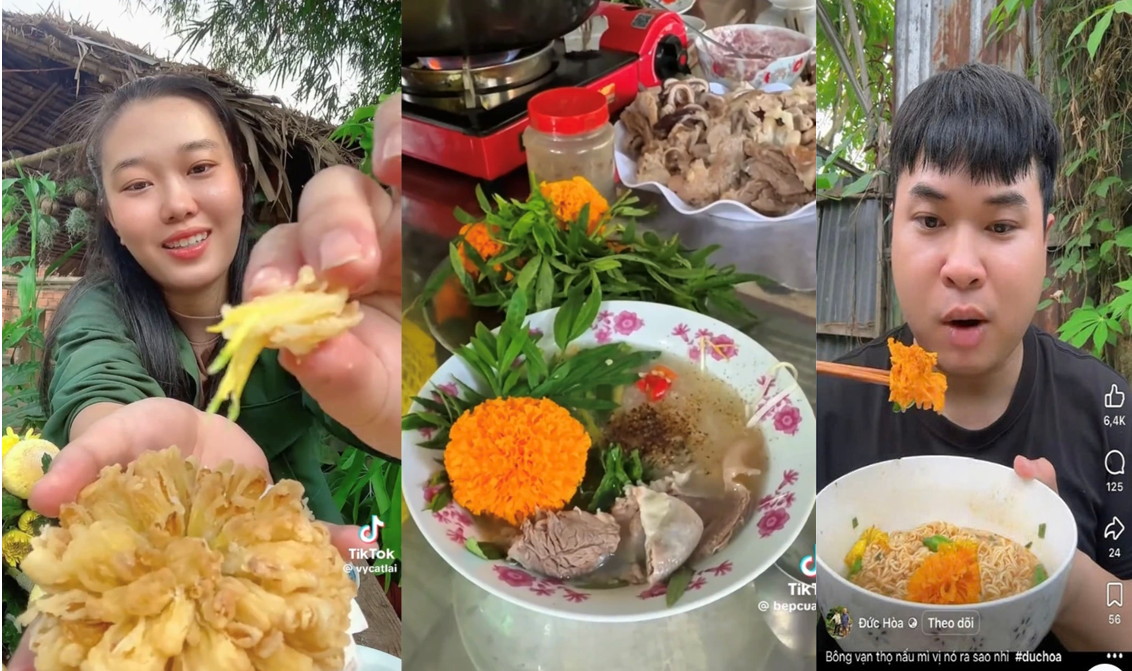 Trào lưu “ăn hoa” trên mạng xã hội: Món ăn lạ tiềm ẩn rủi ro sức khỏe