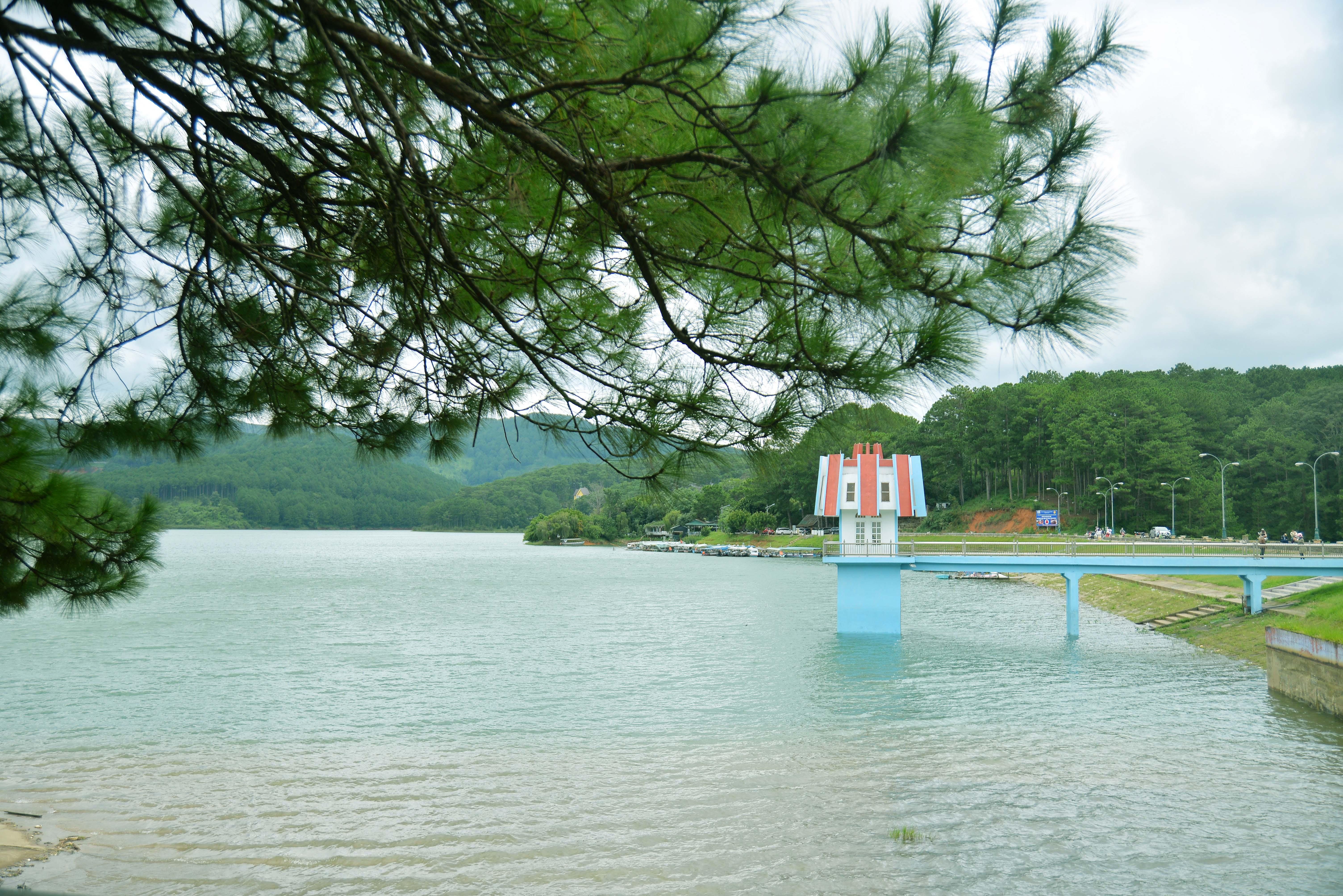 hotuyenlam3_1781081337.jpg