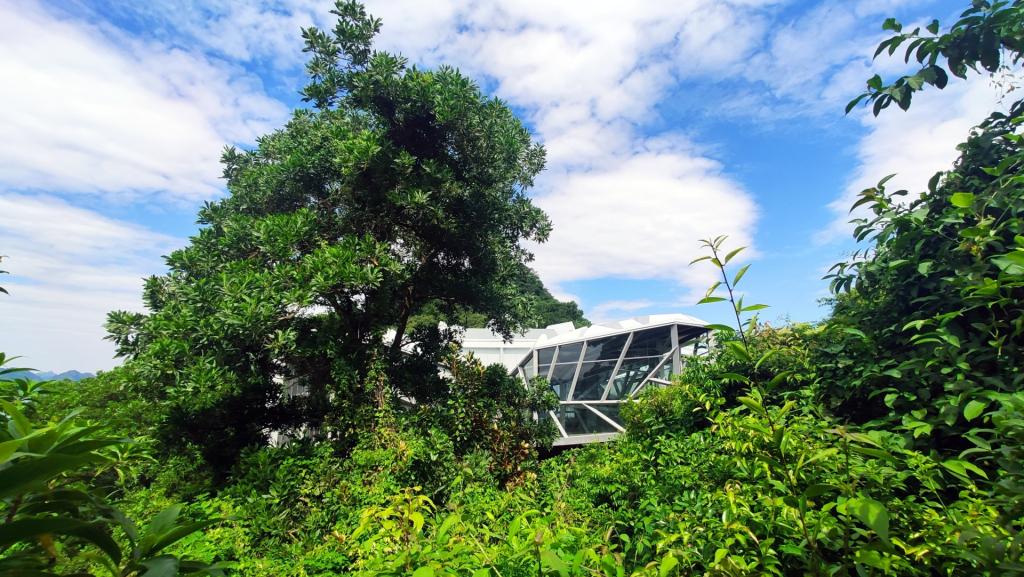 soisim2_1781076254.jpg