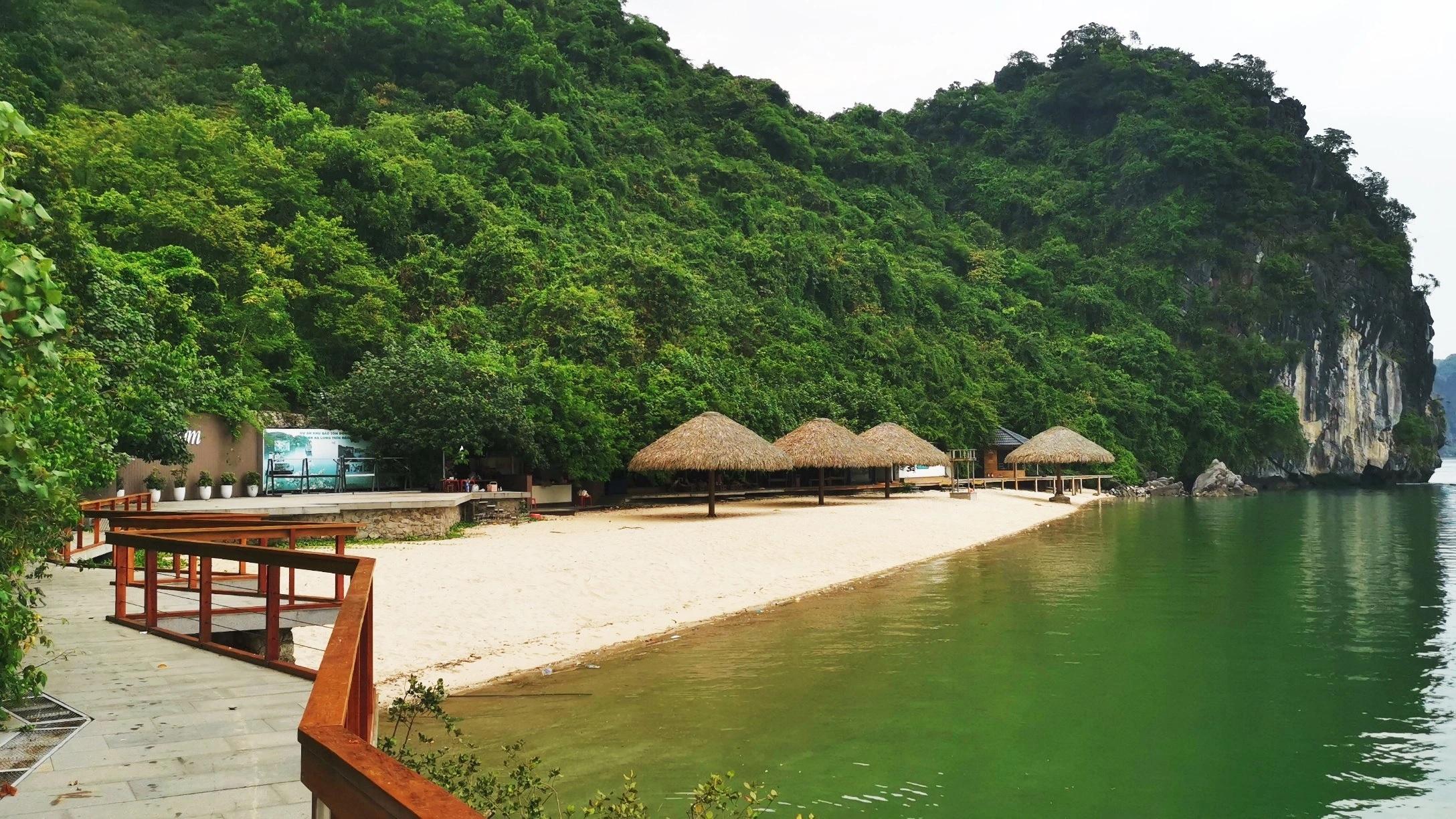 Bãi biển duy nhất của Việt Nam lọt vào top đẹp thế giới năm 2026 Bãi biển duy nhất của Việt Nam lọt vào top đẹp thế giới năm 2026