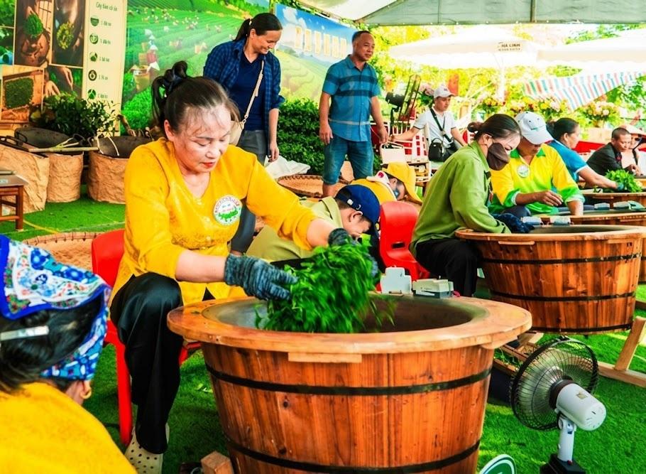 Quảng Ninh phát triển du lịch gắn với cây chè Đường Hoa