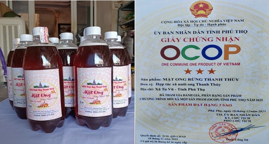 Mật ong Thanh Thủy và hành trình xây dựng thương hiệu OCOP Mật ong Thanh Thủy và hành trình xây dựng thương hiệu OCOP