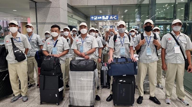 Đề xuất cấm xuất cảnh với người lao động vi phạm pháp luật ở nước ngoài Đề xuất cấm xuất cảnh với người lao động vi phạm pháp luật ở nước ngoài