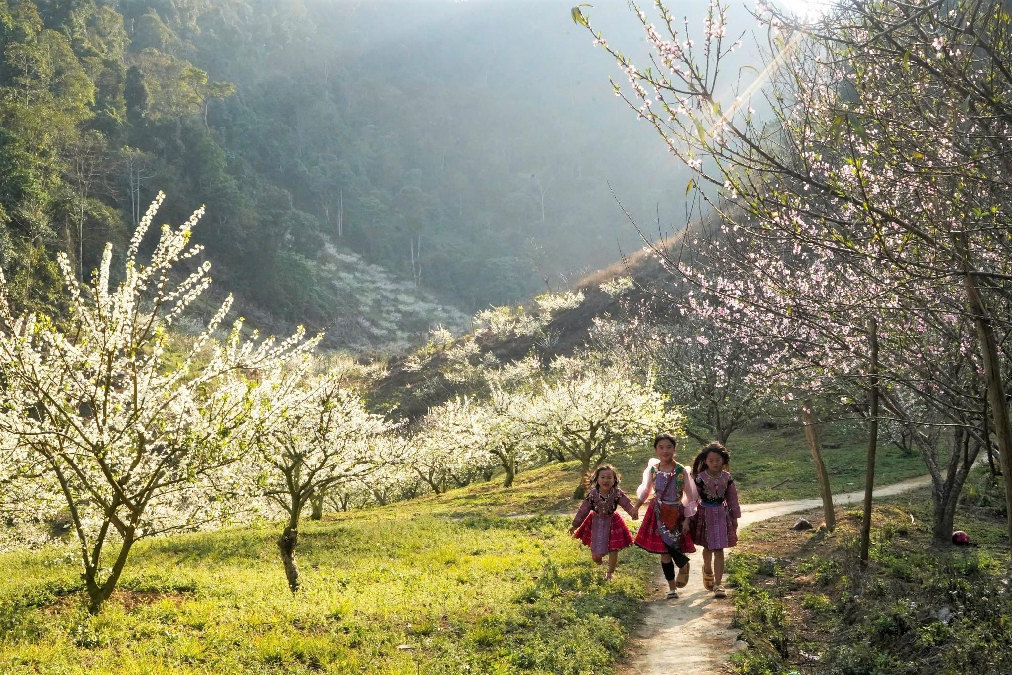 Việt Nam được New York Times vinh danh điểm đến mới nổi của Đông Nam Á Việt Nam được New York Times vinh danh điểm đến mới nổi của Đông Nam Á