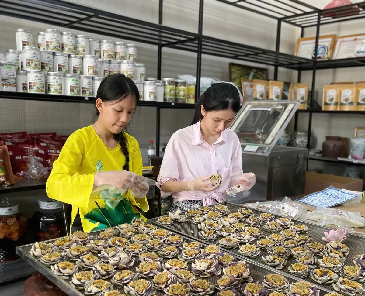 Tháo gỡ nút thắt niềm tin trong liên kết hợp tác xã và doanh nghiệp Tháo gỡ nút thắt niềm tin trong liên kết hợp tác xã và doanh nghiệp