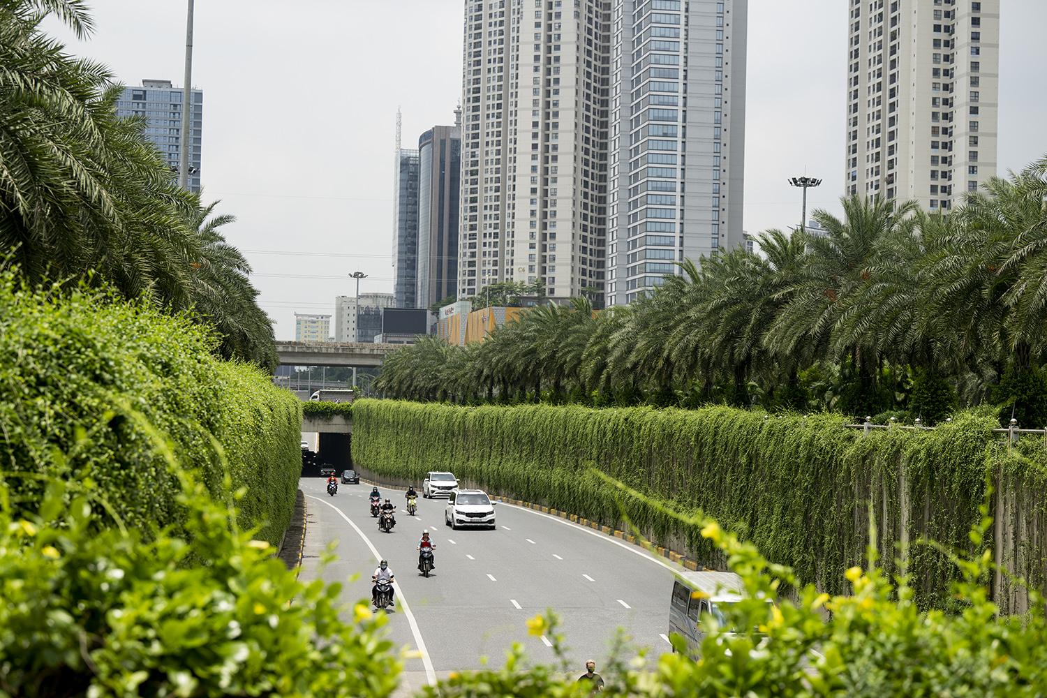dai-lo-thang-long-3_1778491371.jpg