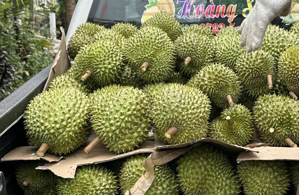 Thông tin mới nhất về danh sách các phòng kiểm nghiệm sầu riêng xuất khẩu