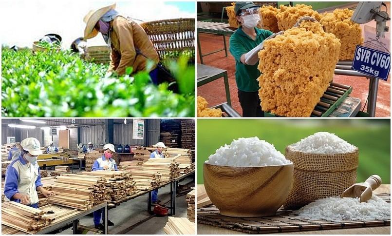 Xuất nhập khẩu đạt gần 300 tỷ USD, khu vực FDI tiếp tục giữ vai trò chủ lực