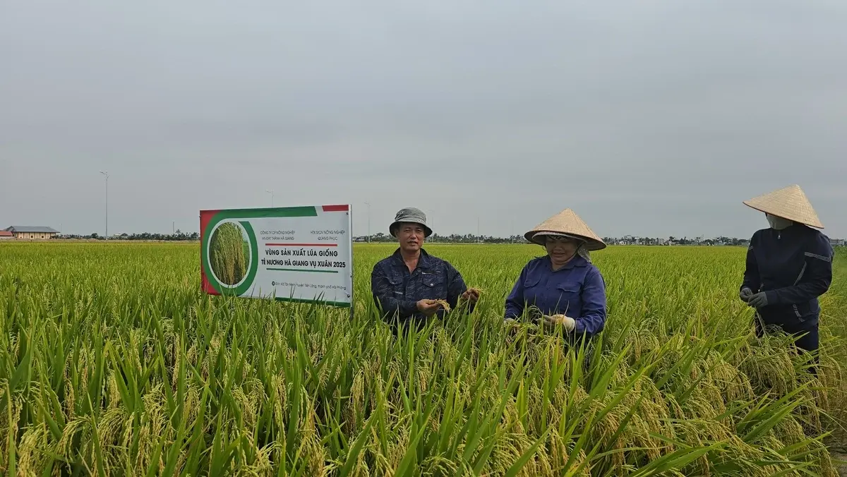 Bình Điền: Bản lĩnh lãnh đạo tạo nên thương hiệu Đầu Trâu Bình Điền: Bản lĩnh lãnh đạo tạo nên thương hiệu Đầu Trâu