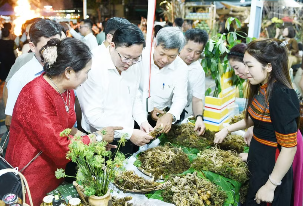 Đà Nẵng đưa "quốc bảo" sâm Ngọc Linh từ đại ngàn xuống phố Đà Nẵng đưa "quốc bảo" sâm Ngọc Linh từ đại ngàn xuống phố