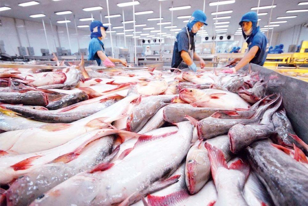 Gỡ 'nút thắt' để xuất khẩu thủy sản cán đích 12,5 tỷ USD Gỡ 'nút thắt' để xuất khẩu thủy sản cán đích 12,5 tỷ USD