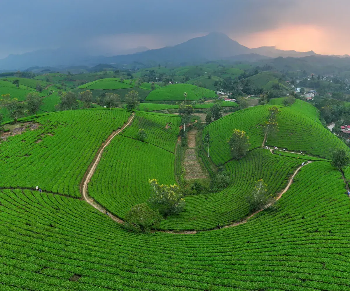 Phú Thọ đưa hồn quê vào những sản phẩm du lịch mới Phú Thọ đưa hồn quê vào những sản phẩm du lịch mới