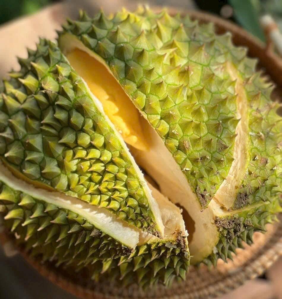 Trung Quốc nhập hơn 1 triệu tấn sầu riêng, Thái Lan áp đảo Việt Nam về kim ngạch Trung Quốc nhập hơn 1 triệu tấn sầu riêng, Thái Lan áp đảo Việt Nam về kim ngạch