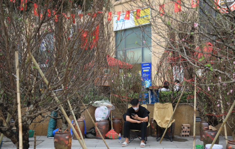 Chợ hoa Tết trầm lắng, tiểu thương thấp thỏm chờ sức mua “phút chót”