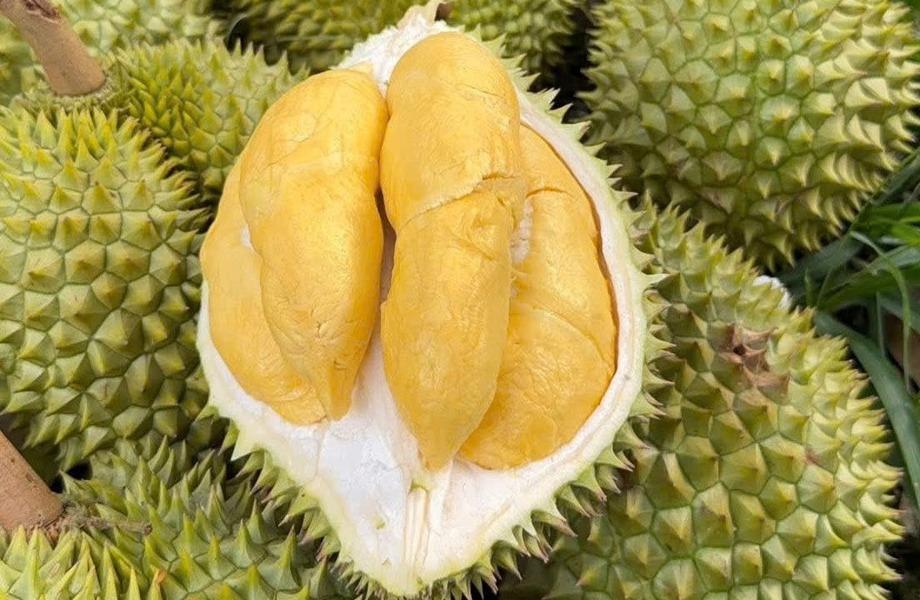 Trung Quốc trở thành thị trường xuất khẩu nông lâm thủy sản lớn nhất của Việt Nam