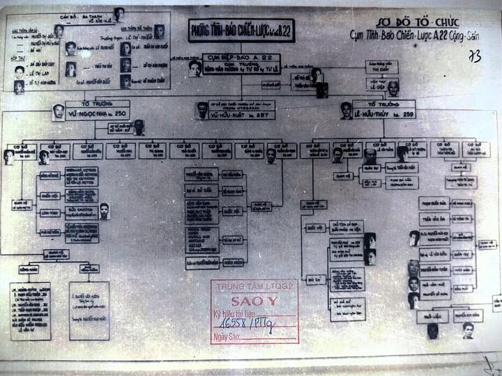 vnn7_1778580844.jpg