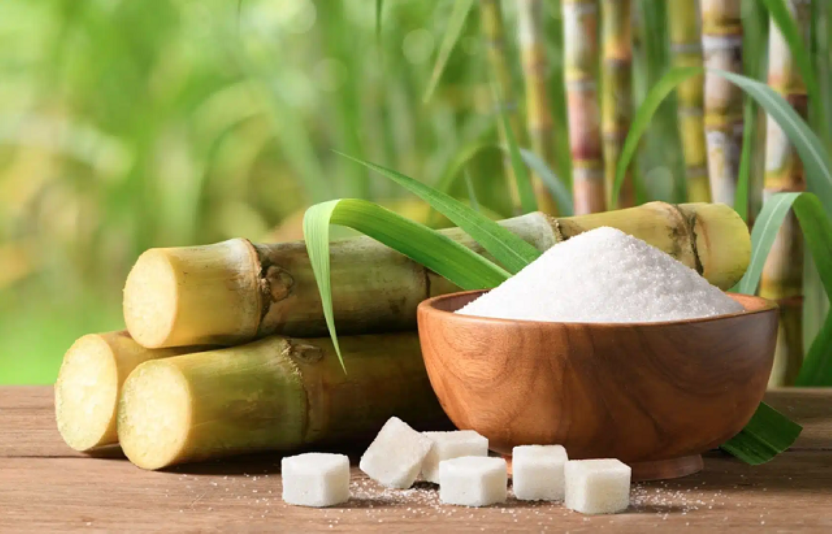 Ngành mía đường trong nước hồi sinh mạnh mẽ sau 5 năm áp thuế phòng vệ Ngành mía đường trong nước hồi sinh mạnh mẽ sau 5 năm áp thuế phòng vệ