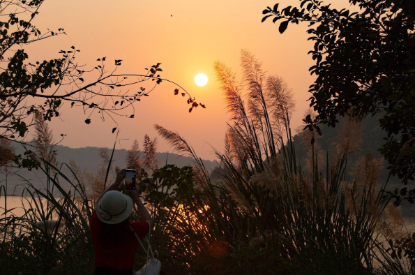 Ninh Bình vào mùa lau trắng – bản hòa ca cuối đông giữa miền di sản Ninh Bình vào mùa lau trắng – bản hòa ca cuối đông giữa miền di sản