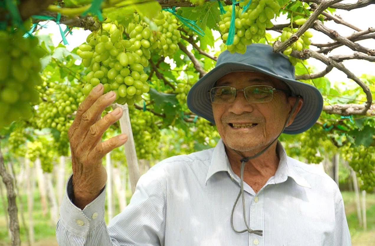 Du lịch vườn nho Ba Mọi: Khi trải nghiệm trở thành sức mạnh thương hiệu