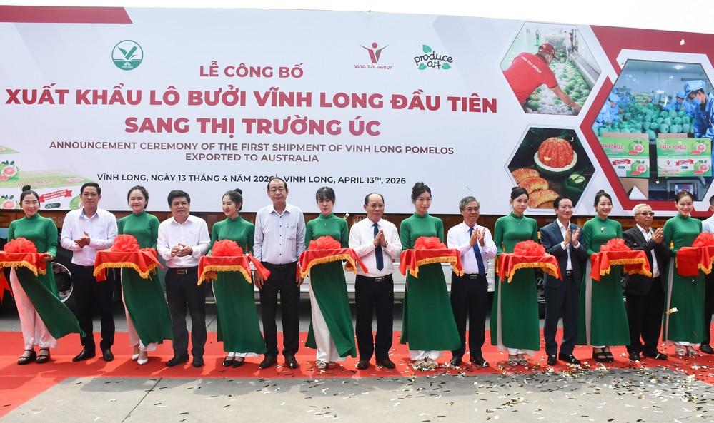 Vĩnh Long xuất khẩu lô bưởi da xanh đầu tiên sang thị trường Úc