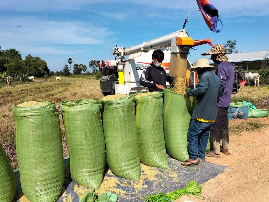 Thu gần 5.500 tỷ đồng từ gạo, Campuchia vẫn bị cảnh báo vì giá xăng dầu cao gấp rưỡi Việt Nam