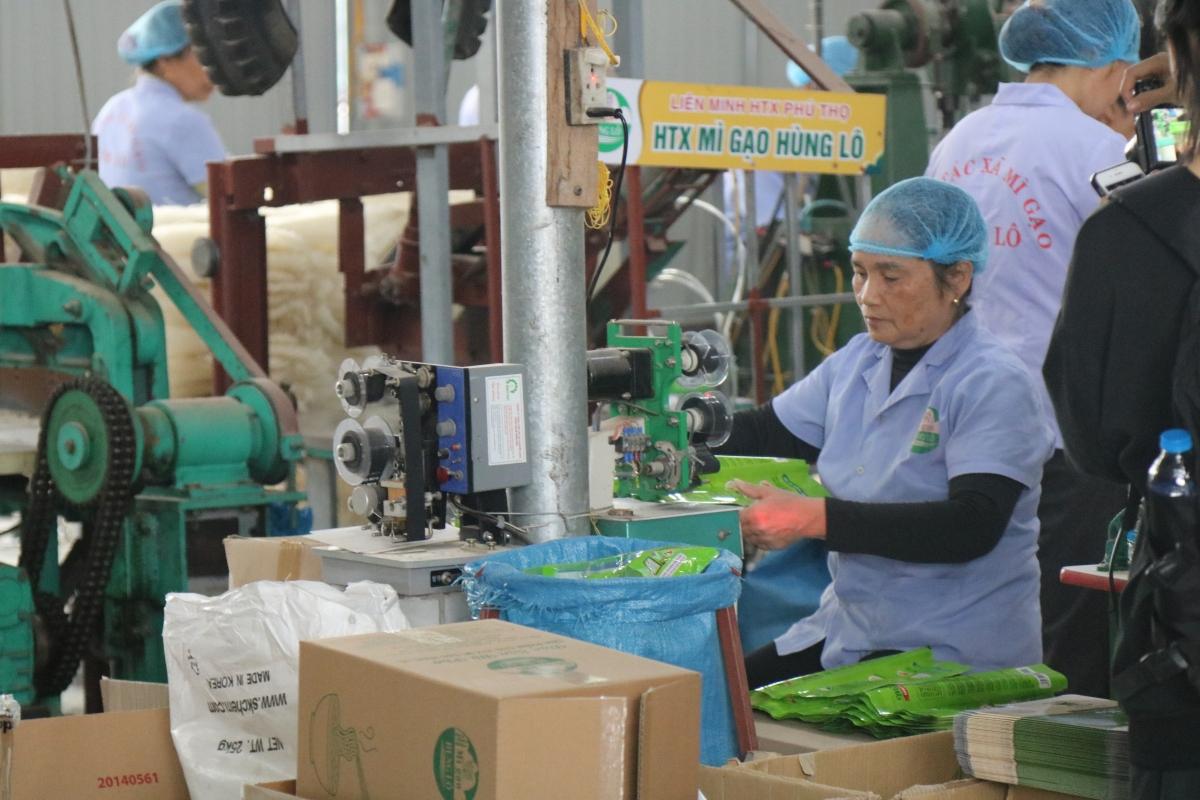 Phát triển sản phẩm OCOP gắn với bảo vệ môi trường Phát triển sản phẩm OCOP gắn với bảo vệ môi trường