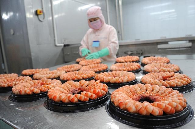 Bản lĩnh thương hiệu Sao Ta trước áp lực suy giảm doanh thu nửa đầu năm 2026 Bản lĩnh thương hiệu Sao Ta trước áp lực suy giảm doanh thu nửa đầu năm 2026