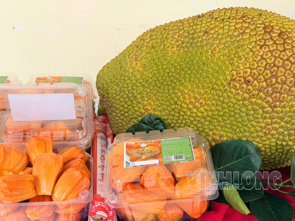 Xây dựng nhãn hiệu mít ruột đỏ Cái Ngang thành nông sản chất lượng cao Xây dựng nhãn hiệu mít ruột đỏ Cái Ngang thành nông sản chất lượng cao