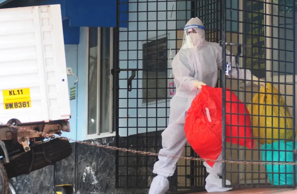 Bộ Y tế: Tuyệt đối không ăn trái cây bị động vật cắn để phòng virus Nipah