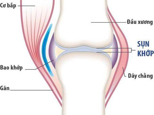 Bảo tồn khớp thông qua các kỹ thuật ghép sụn hiện đại