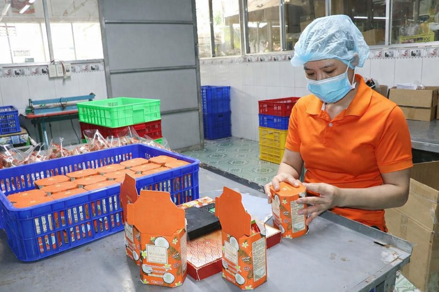 Hành trình xây dựng hệ sản phẩm OCOP từ dừa sáp Vĩnh Long Hành trình xây dựng hệ sản phẩm OCOP từ dừa sáp Vĩnh Long