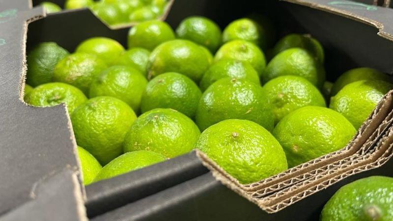 Xuất khẩu bưởi và chanh sang Trung Quốc: Cơ hội lớn từ Nghị định thư mới