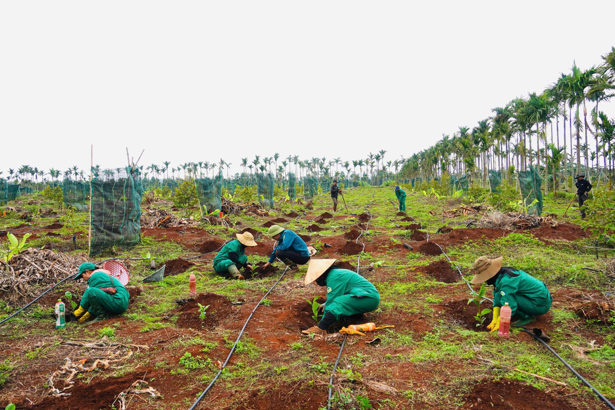 DAKRUCO – Phát triển bền vững từ giá trị con người DAKRUCO – Phát triển bền vững từ giá trị con người