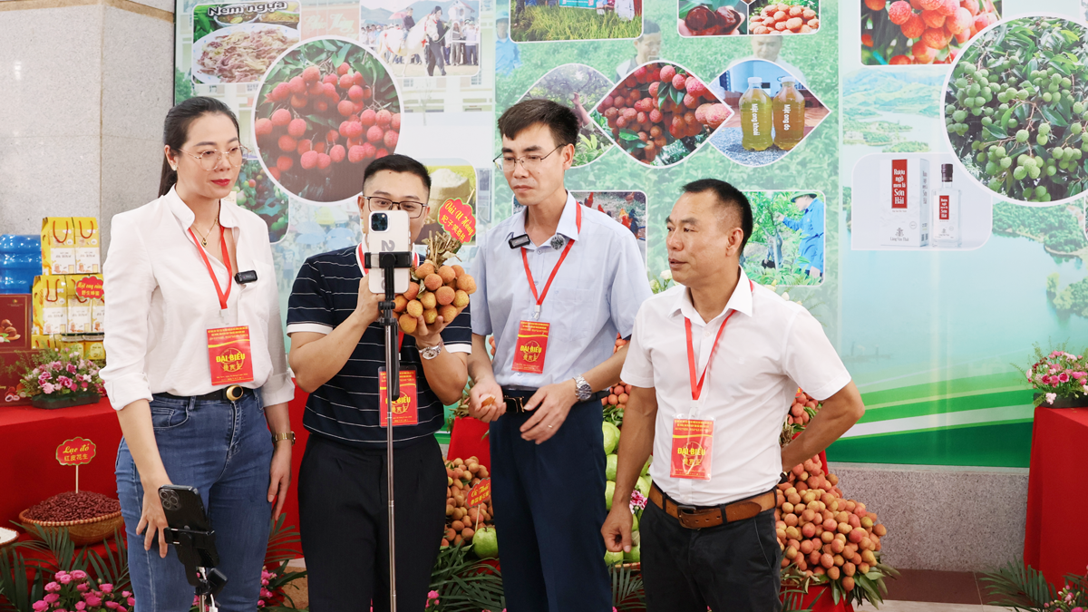 Bắc Ninh triển khai Chiến lược quốc gia về khởi nghiệp sáng tạo giai đoạn 2026-2030 Bắc Ninh triển khai Chiến lược quốc gia về khởi nghiệp sáng tạo giai đoạn 2026-2030