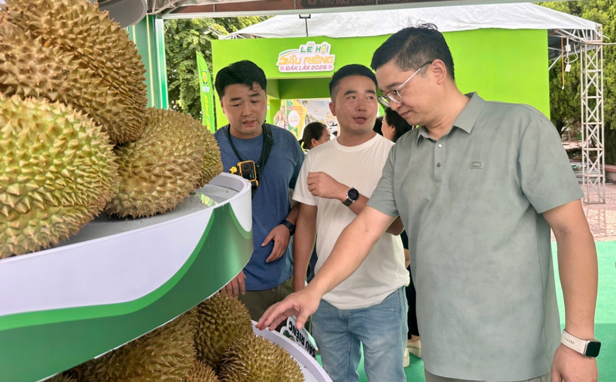 saurieng_1786783130.png