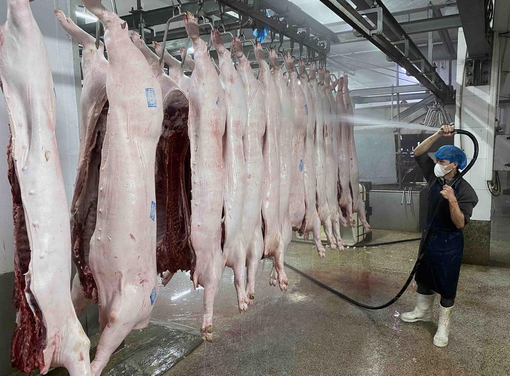 Hà Nội xóa giết mổ nhỏ lẻ, kiểm soát hơn 90.000 gia súc gia cầm mỗi ngày Hà Nội xóa giết mổ nhỏ lẻ, kiểm soát hơn 90.000 gia súc gia cầm mỗi ngày
