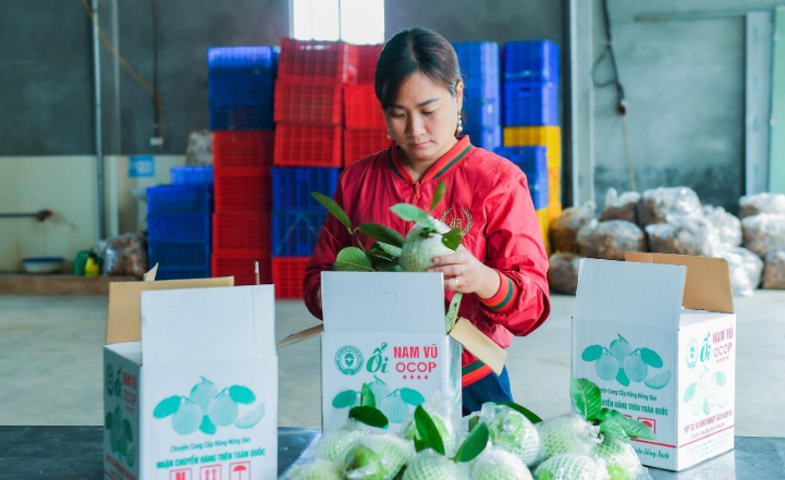 Nâng tầm giá trị thương hiệu ổi Hà Nam