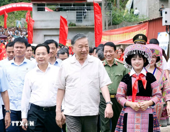lam-2_1784166862.png
