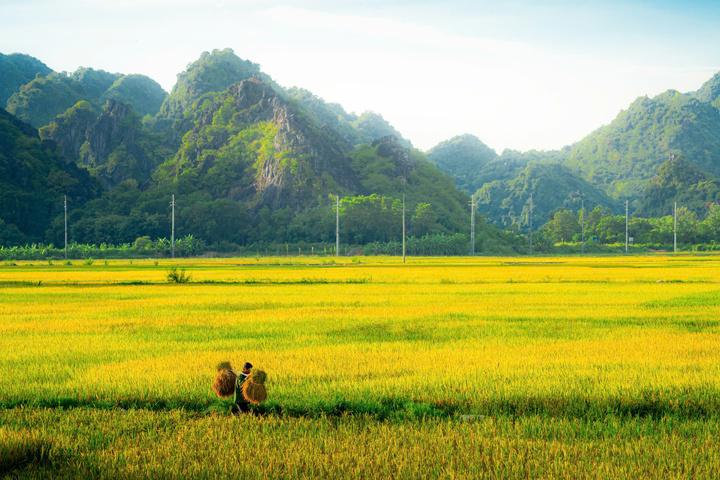 Hà Nội: Xã nông thôn mới giai đoạn 2026–2030 cần đạt 10 tiêu chí, hướng tới không gian xanh và số hóa Hà Nội: Xã nông thôn mới giai đoạn 2026–2030 cần đạt 10 tiêu chí, hướng tới không gian xanh và số hóa