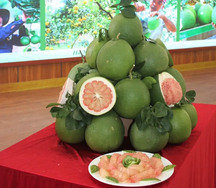 Nhiều quy định mới về an toàn thực phẩm và kiểm dịch tác động tới nông sản xuất khẩu