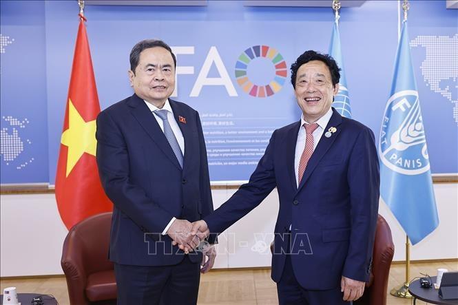 Việt Nam thúc đẩy hợp tác nông nghiệp bền vững với FAO: Tăng cường an ninh lương thực toàn cầu