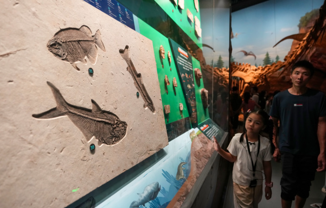 Trung Quốc phát hiện 'sinh vật cổ' có thể viết lại lịch sử tiến hóa động vật?