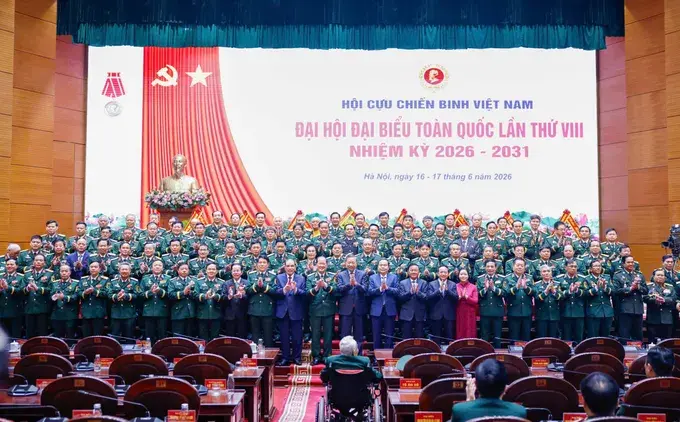 lam-2_1781684457.webp