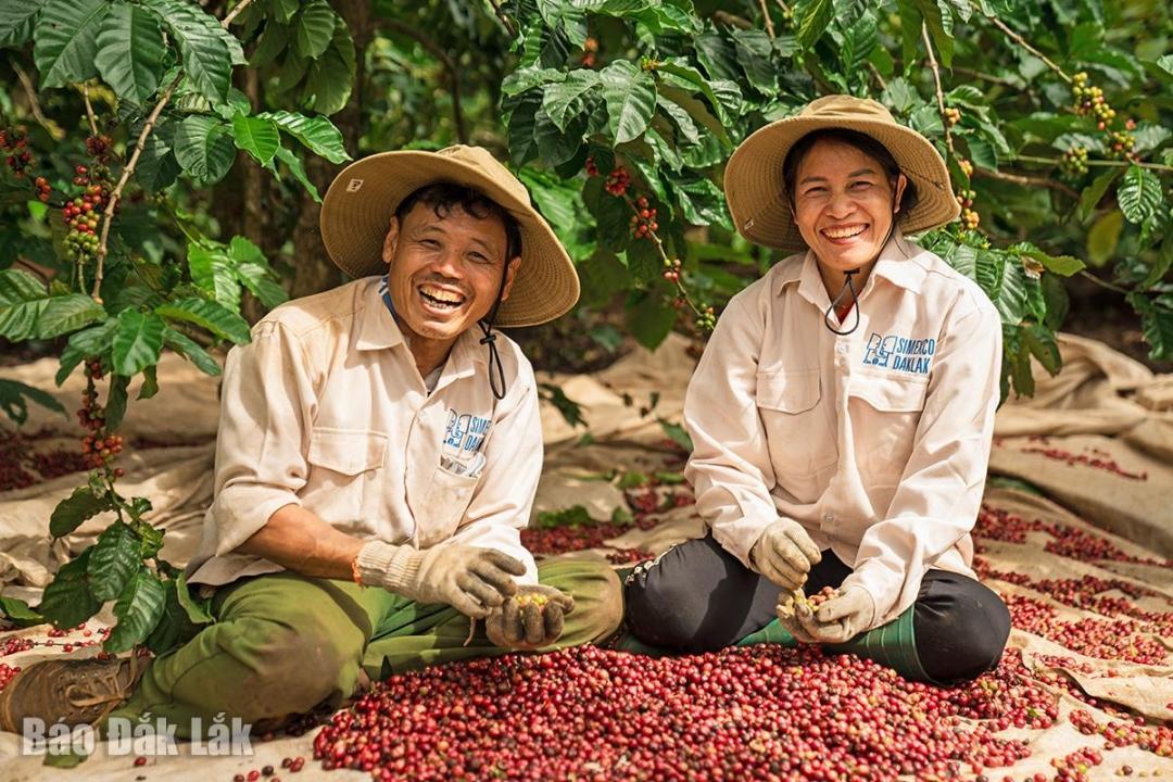 OCOP Đắk Lắk: Nâng tầm đặc sản địa phương, mở rộng cơ hội vươn xa OCOP Đắk Lắk: Nâng tầm đặc sản địa phương, mở rộng cơ hội vươn xa